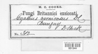 Image Associated With the Occurence